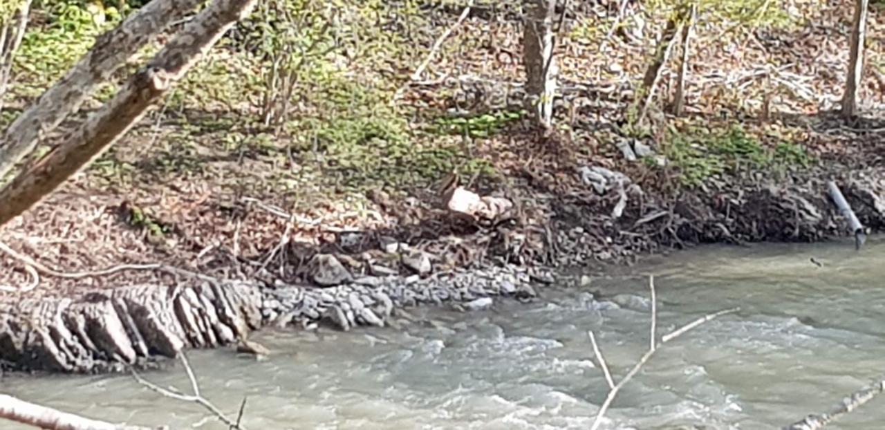 Sezatoarea Lupilor Villa Lepşa Exteriör bild