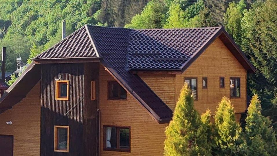 Sezatoarea Lupilor Villa Lepşa Exteriör bild