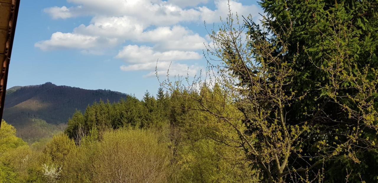 Sezatoarea Lupilor Villa Lepşa Exteriör bild