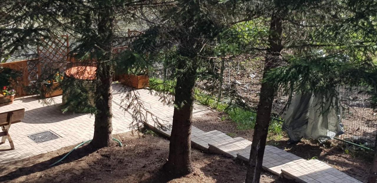 Sezatoarea Lupilor Villa Lepşa Exteriör bild