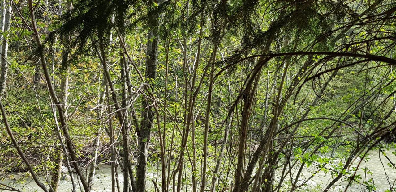 Sezatoarea Lupilor Villa Lepşa Exteriör bild
