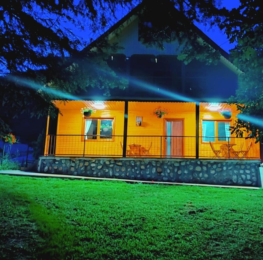 Sezatoarea Lupilor Villa Lepşa Exteriör bild