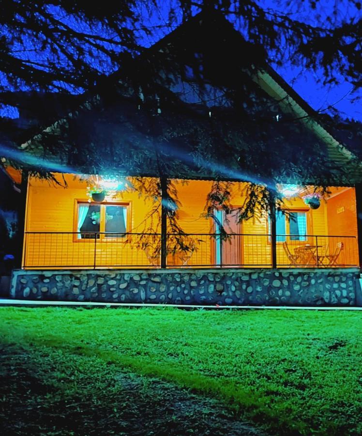 Sezatoarea Lupilor Villa Lepşa Exteriör bild