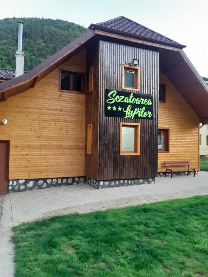 Sezatoarea Lupilor Villa Lepşa Exteriör bild