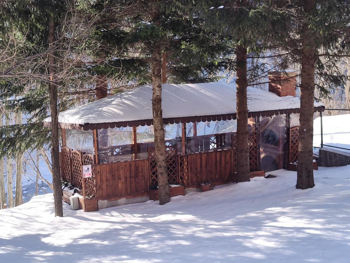 Sezatoarea Lupilor Villa Lepşa Exteriör bild