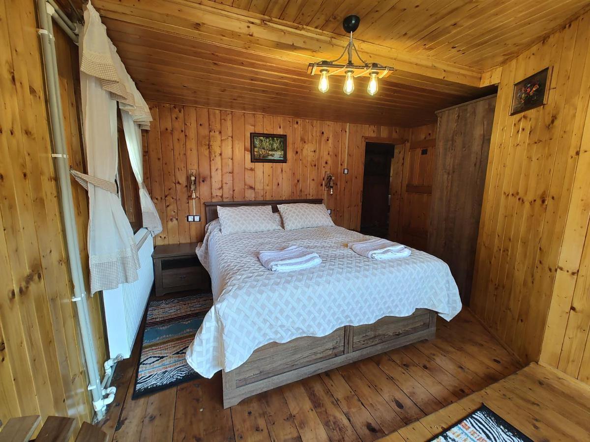Sezatoarea Lupilor Villa Lepşa Exteriör bild
