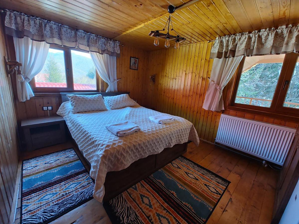 Sezatoarea Lupilor Villa Lepşa Exteriör bild