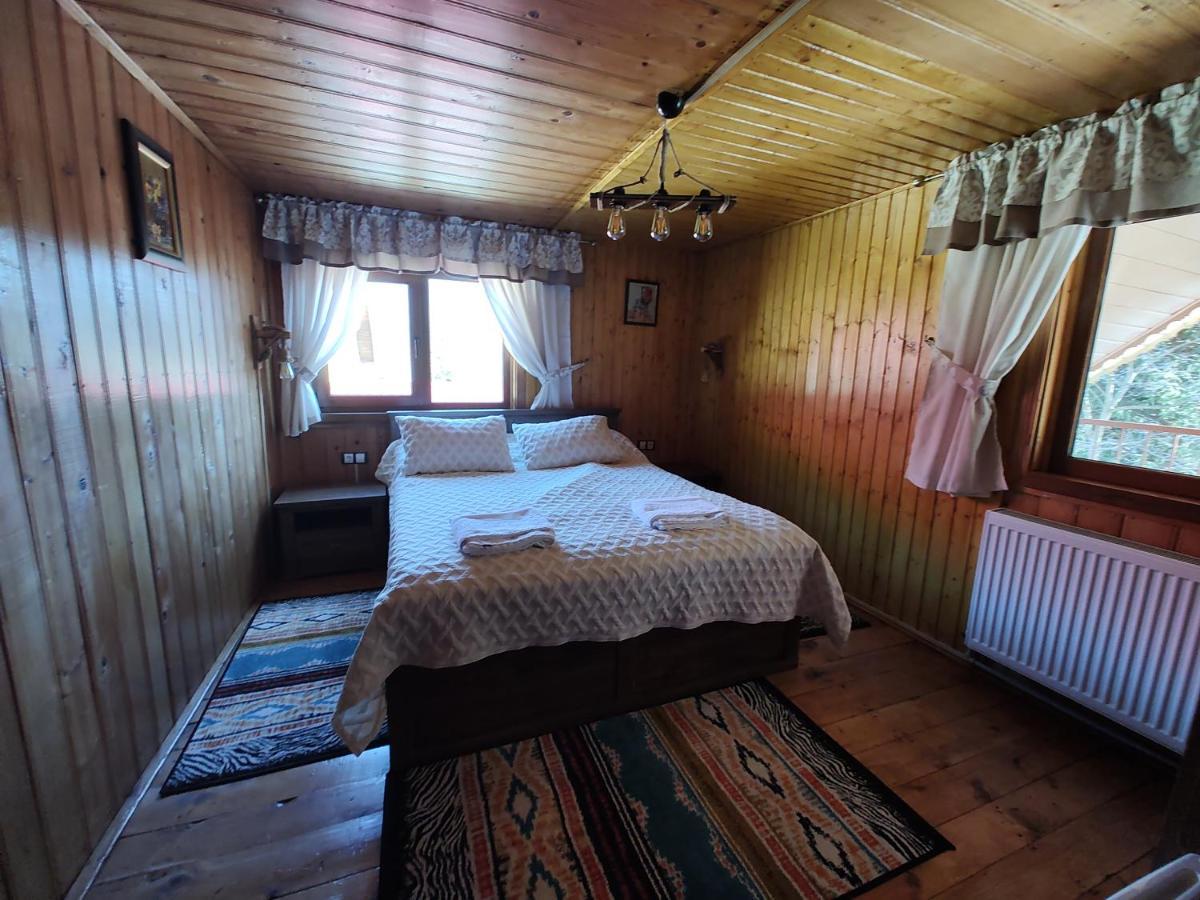 Sezatoarea Lupilor Villa Lepşa Exteriör bild