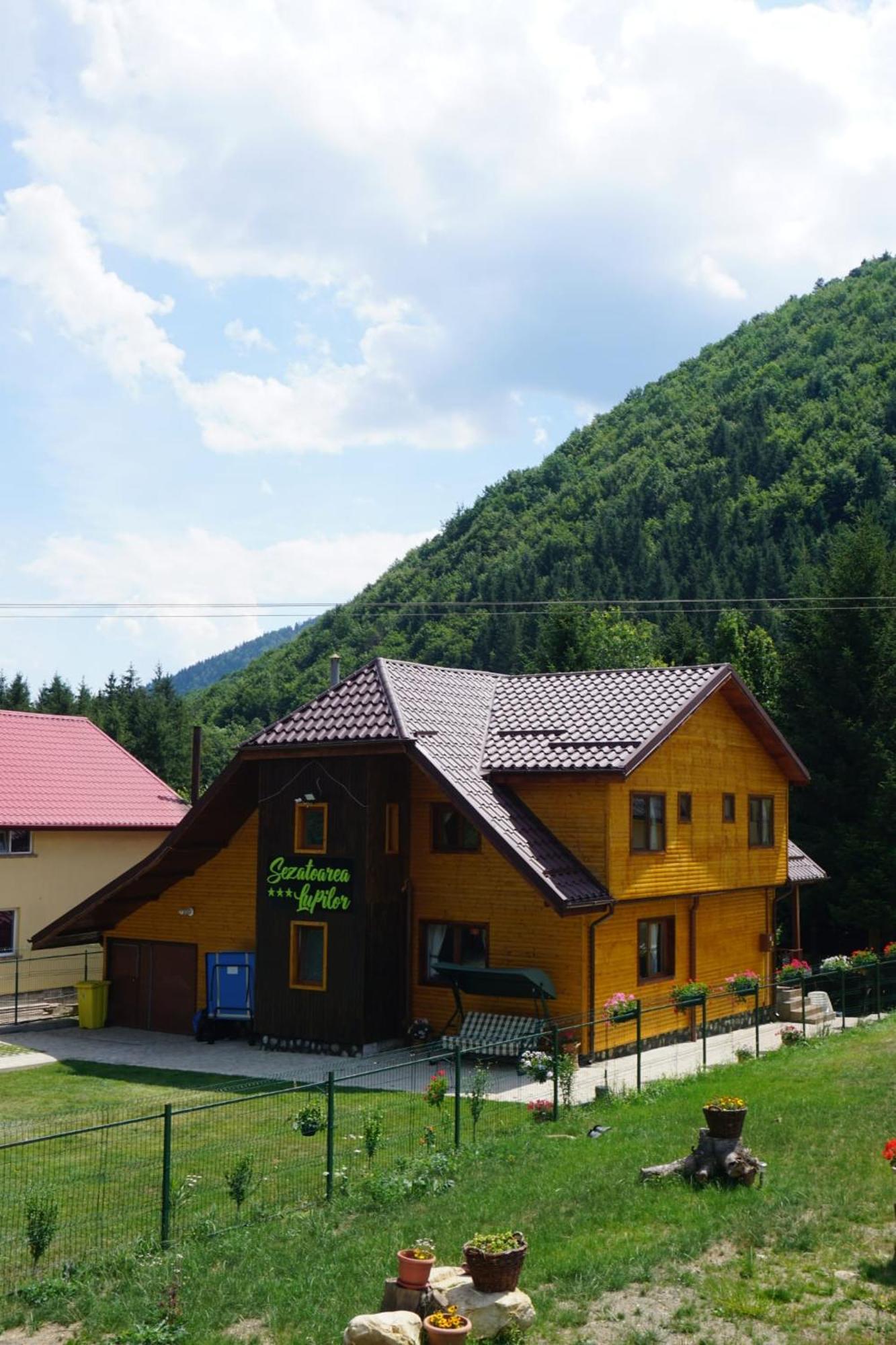 Sezatoarea Lupilor Villa Lepşa Exteriör bild