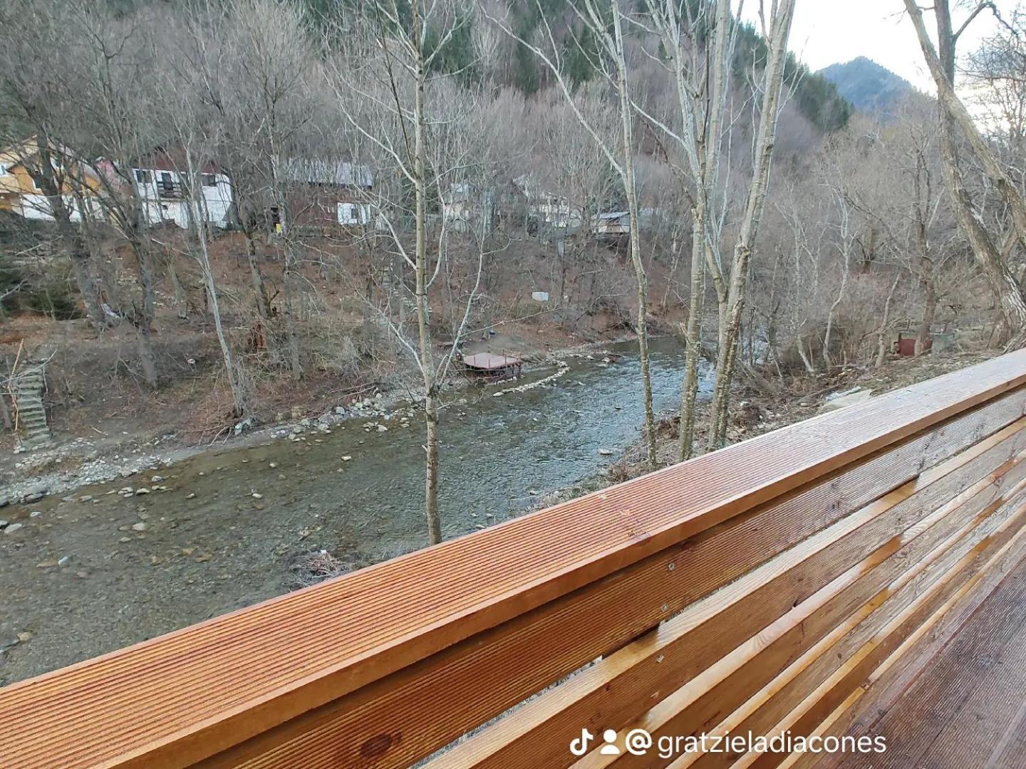 Sezatoarea Lupilor Villa Lepşa Exteriör bild
