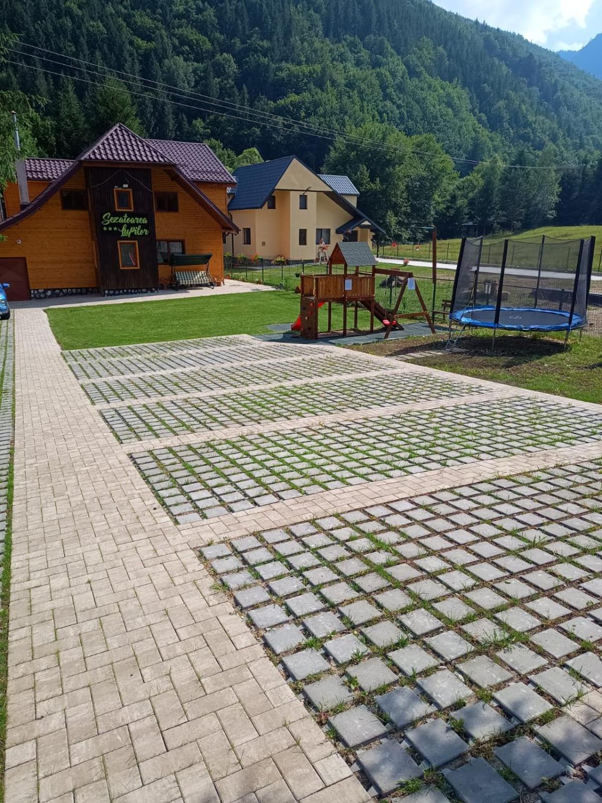 Sezatoarea Lupilor Villa Lepşa Exteriör bild